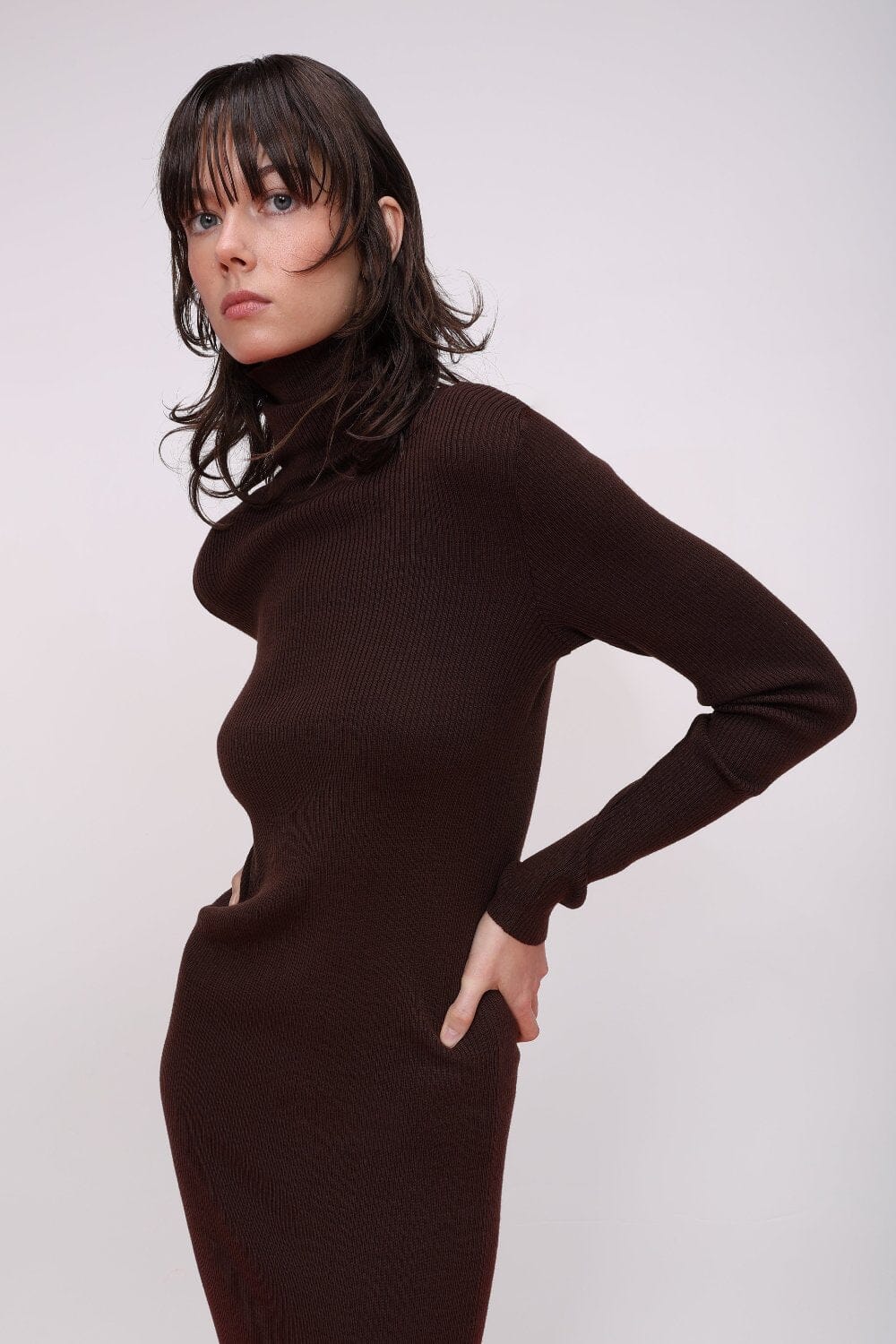  Rib Knit Turtleneck Midi Dress Product Amoralle