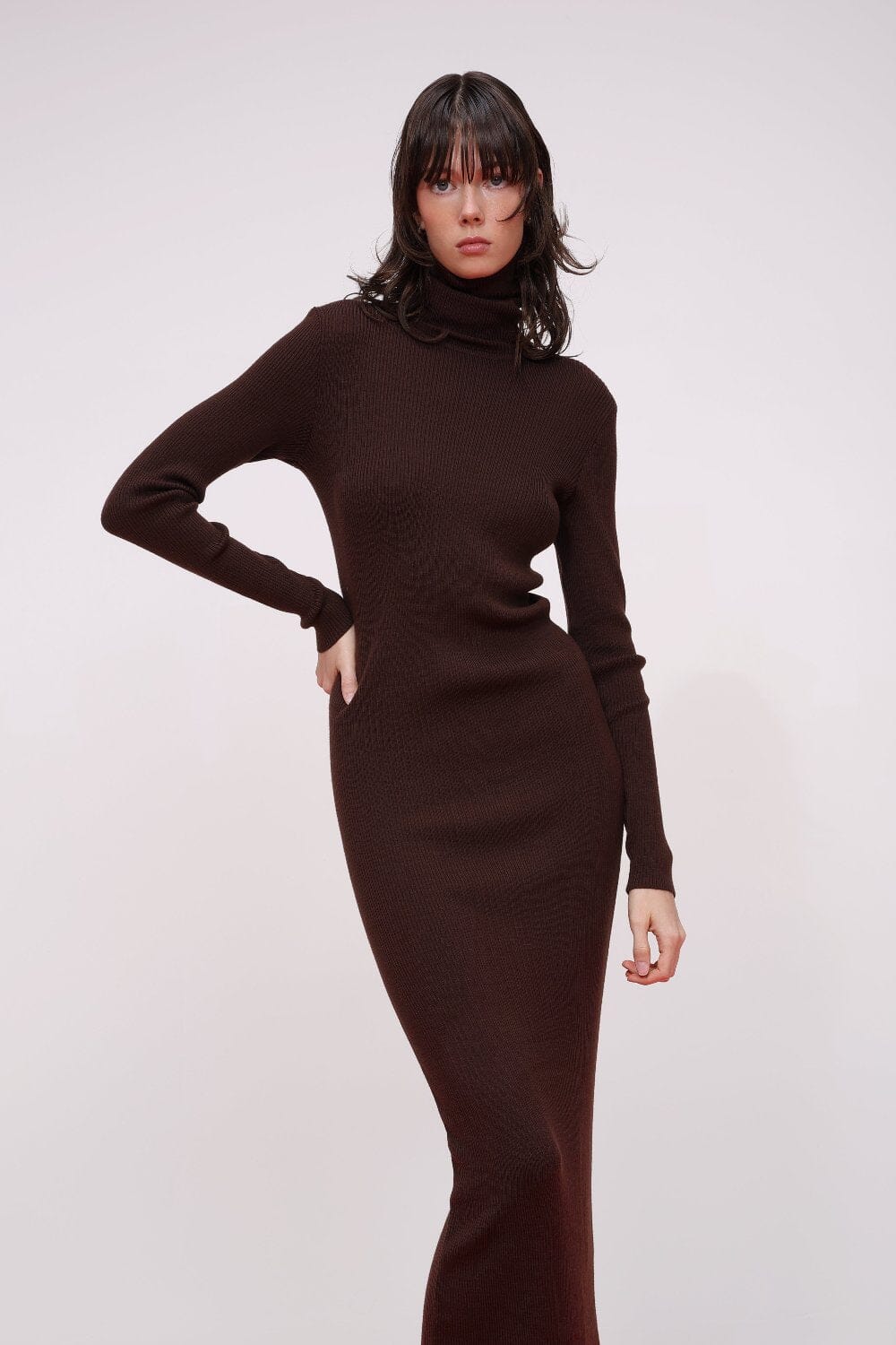  Rib Knit Turtleneck Midi Dress Product Amoralle